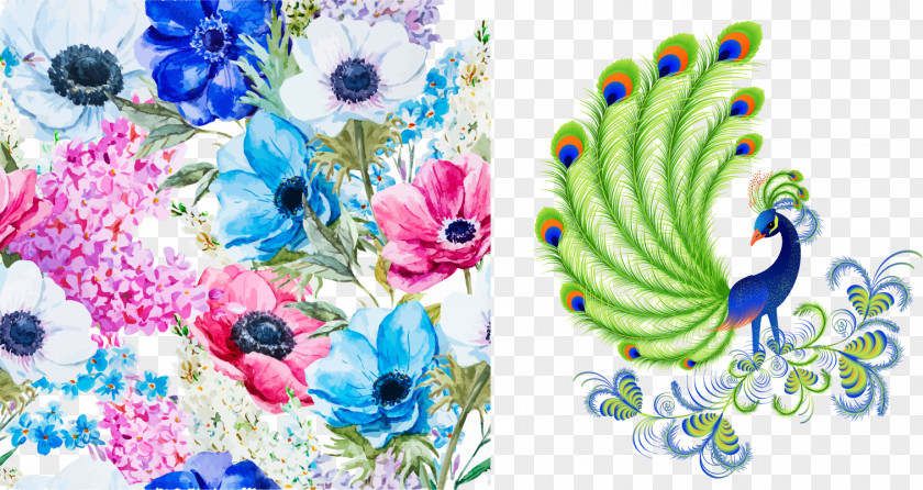 Peacock Pattern Vector Elements Watercolour Flowers Discover Watercolor Painting PNG