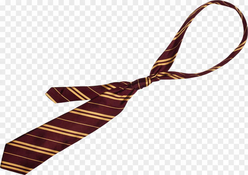 Tie PNG Image Harry Potter And The Philosopher's Stone Goblet Of Fire Necktie PNG