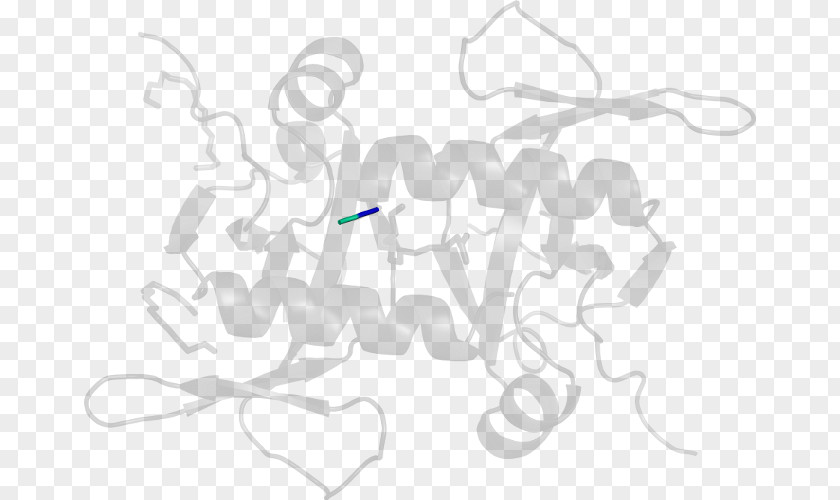 Design White Clip Art PNG