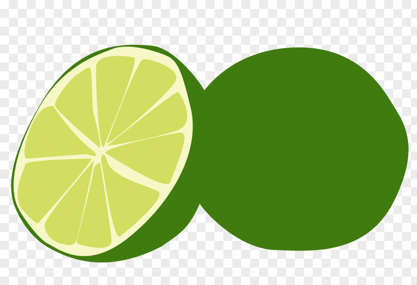 Lime Slice Vector Key Lemon Persian PNG