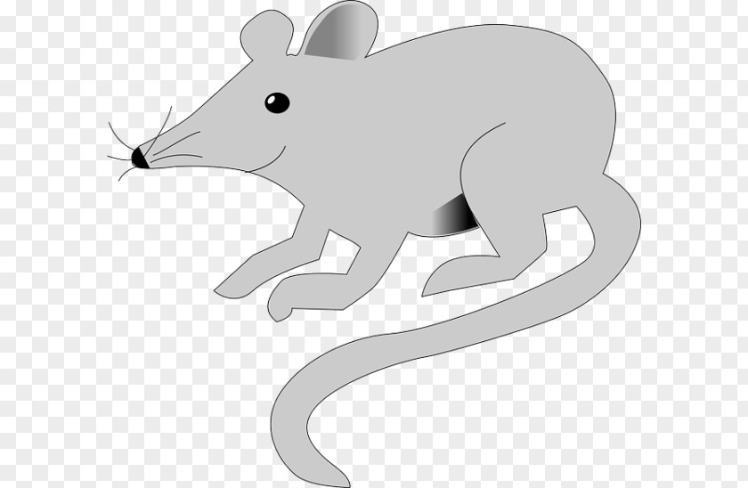 Mouse Rodent Brown Rat Laboratory Animal PNG