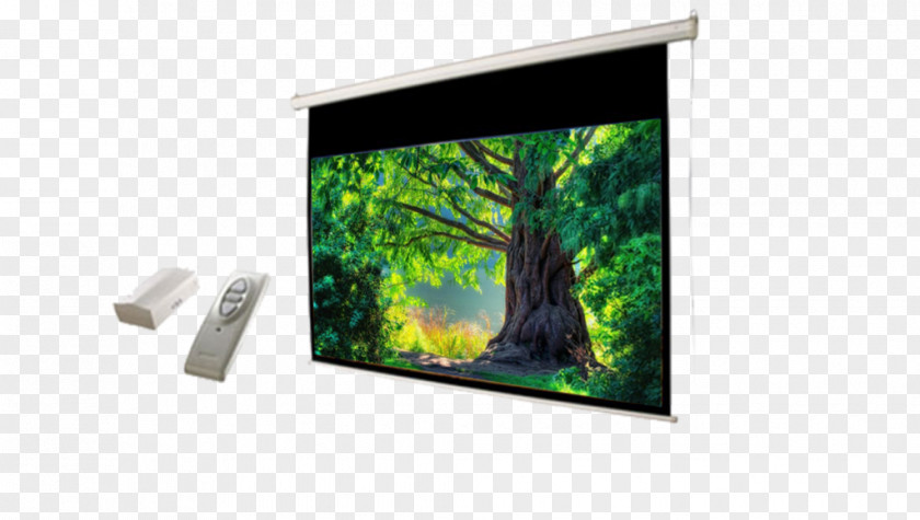 Painting Wall Room Television Canvas PNG