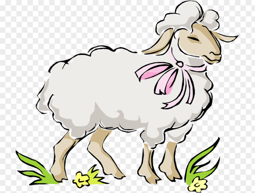 Sheep Goat Vector Graphics Clip Art Drawing PNG