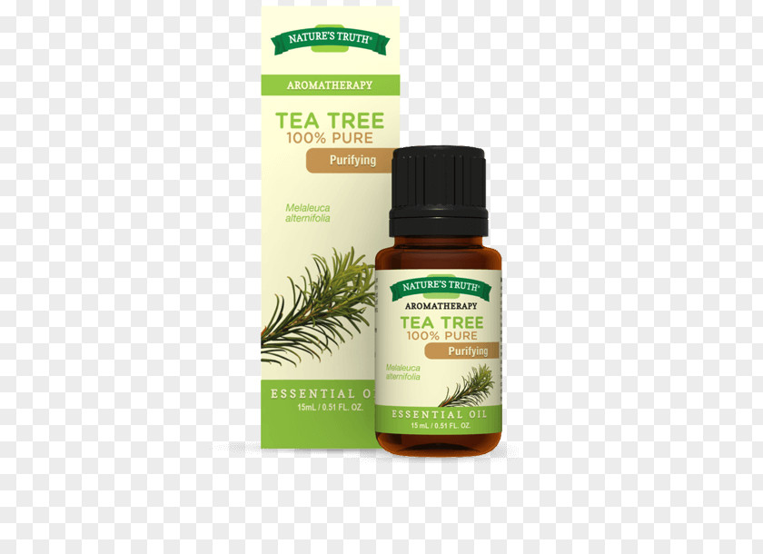 Tea Oil Tree Essential Eucalyptus Narrow-leaved Paperbark PNG