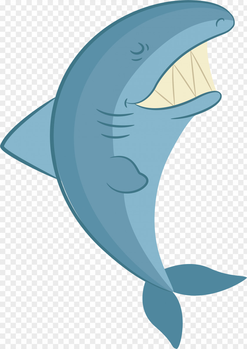 A Shark With Sharp Tooth Common Bottlenose Dolphin Tucuxi PNG