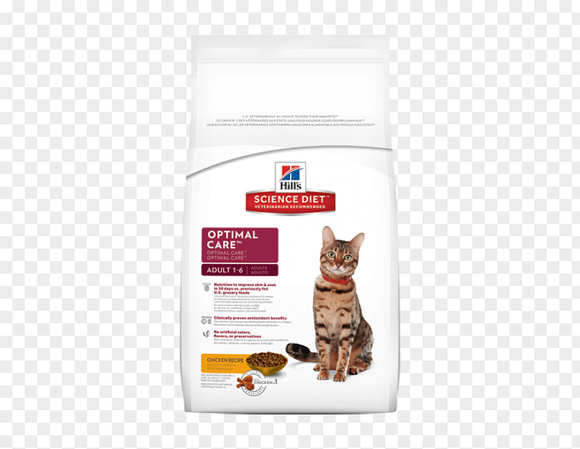 Food Elements Cat Science Diet Felidae Kitten PNG