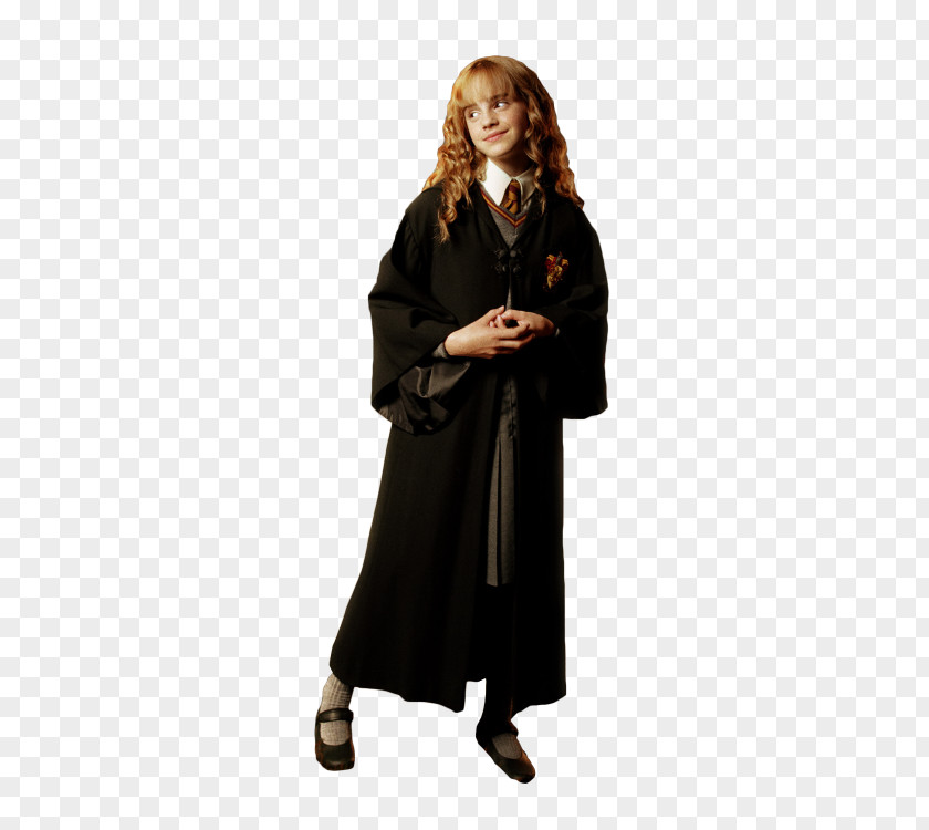 Hermione Granger Draco Malfoy Lucius The Wizarding World Of Harry Potter PNG