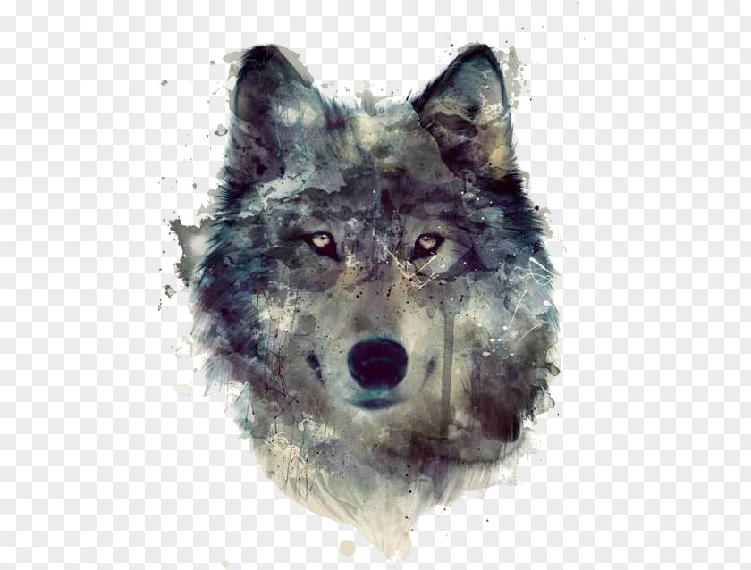 Painting Gray Wolf Watercolor Art Drawing PNG