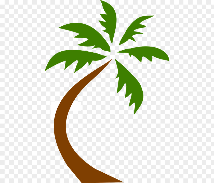 Palm Leaves Trees Clip Art Image Coconut PNG