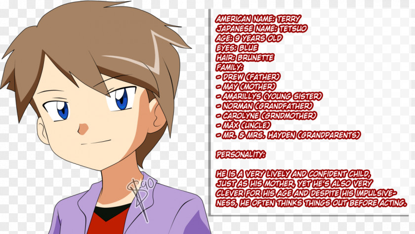 UNCLE DREW Ash Ketchum May Pokémon XD: Gale Of Darkness Misty PNG