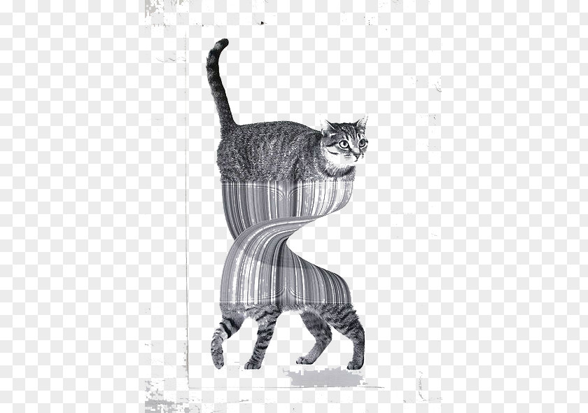 Twisted Cat Drawing Art Illustration PNG