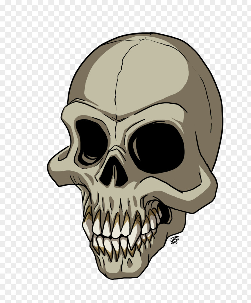 Color Skull PNG