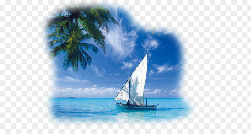 Sailboat Desktop Wallpaper 1080p High-definition Television Nature Image PNG