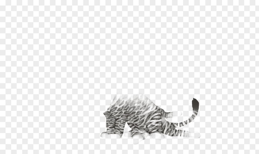 Cat Whiskers Drawing /m/02csf Tail PNG