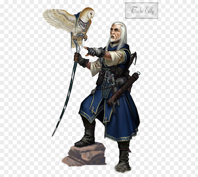 Dungeons & Dragons Pathfinder Roleplaying Game Concept Art Character Bard PNG