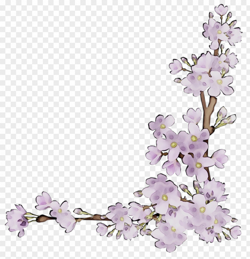 Floral Design Cut Flowers ST.AU.150 MIN.V.UNC.NR AD Lilac PNG