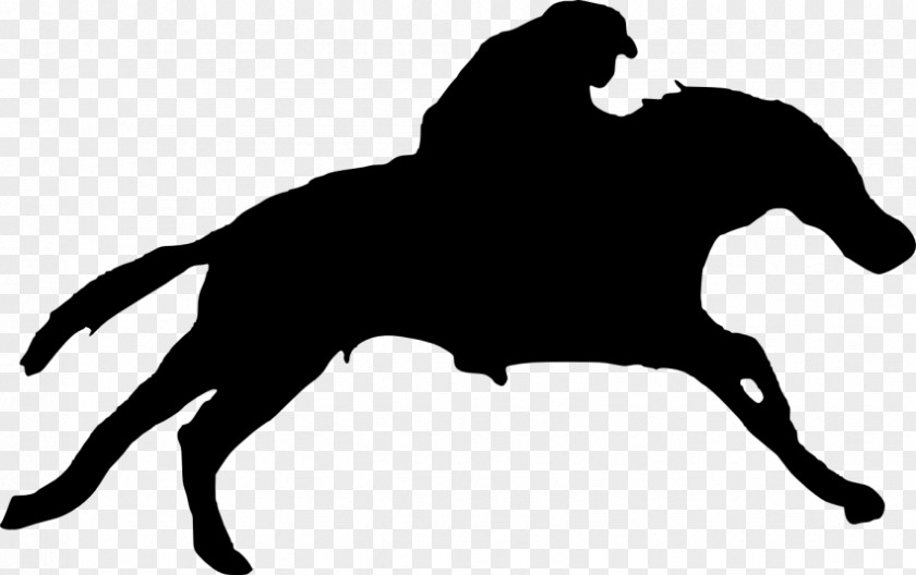 Mustang Silhouette Equestrian Stallion Clip Art PNG