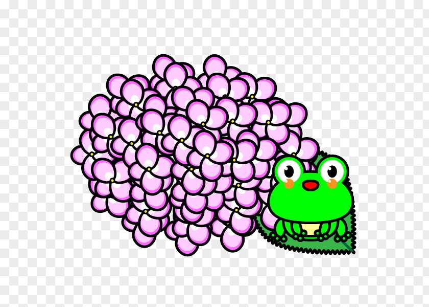 Pretty Rainbow Frogs French Hydrangea QR Code Clip Art Flower Smooth PNG