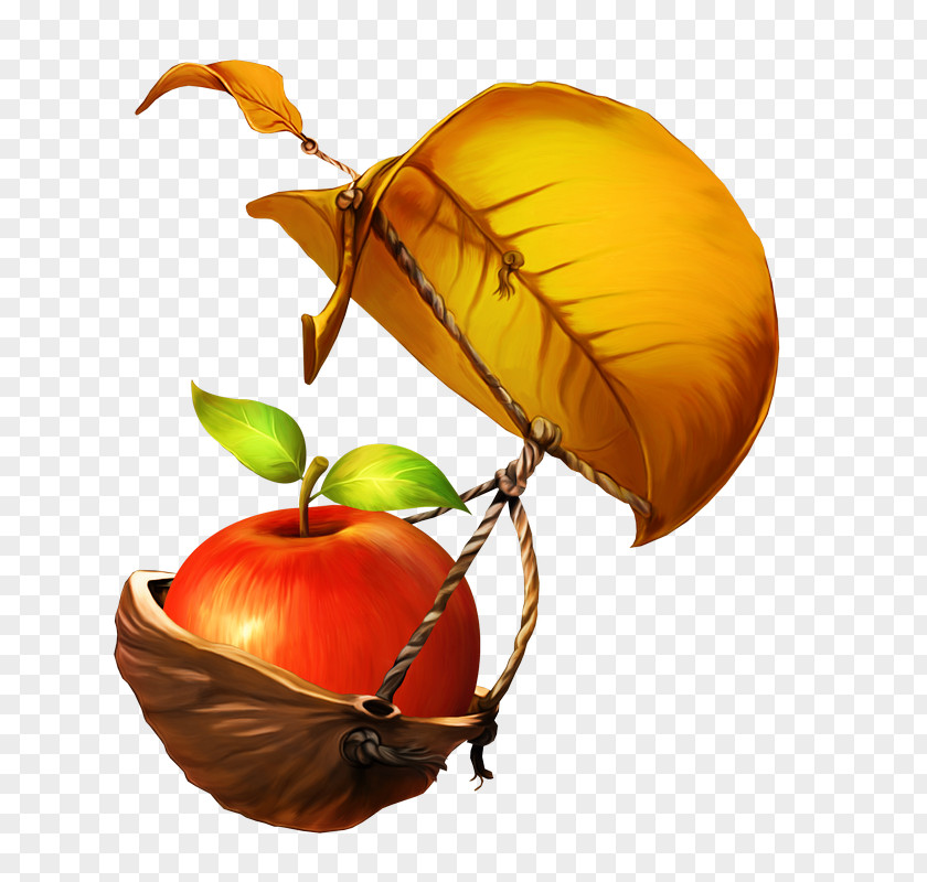 Vegetarian Food Tree Of Life PNG