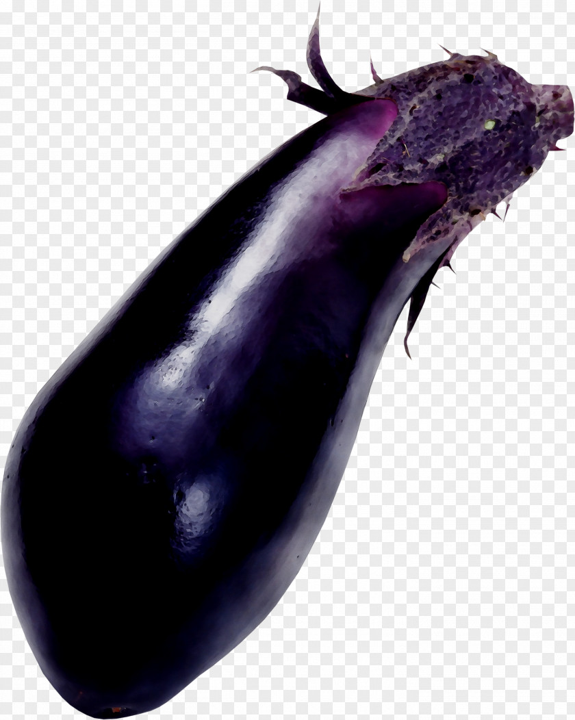 Aubergines Vegetable Centerblog Food Produce PNG