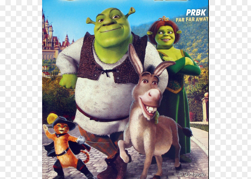 Donkey Princess Fiona Puss In Boots Shrek DVD PNG