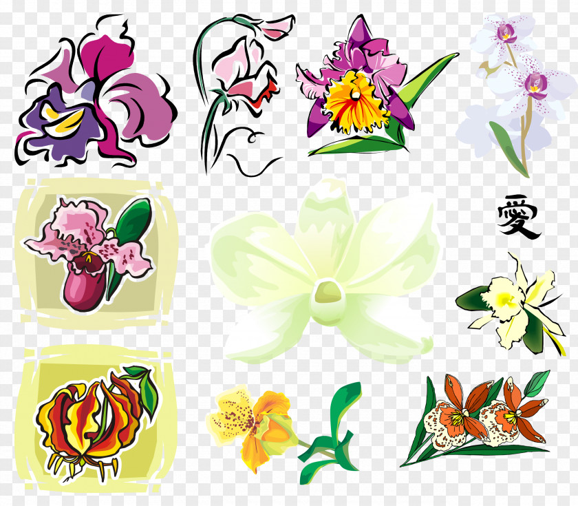 Floral Design Orchids Cut Flowers Clip Art PNG