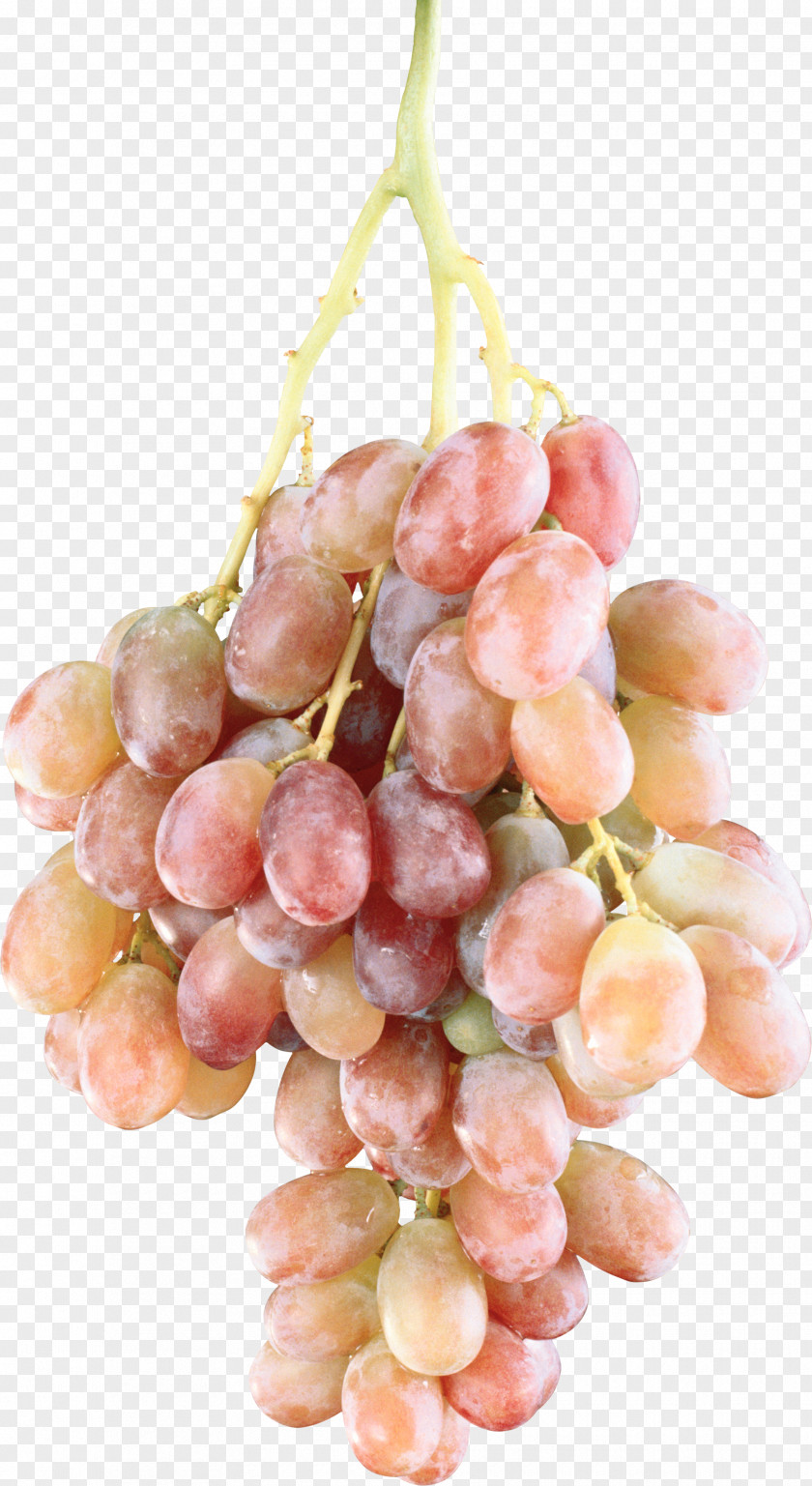 Grapes Common Grape Vine Fruit Clip Art PNG