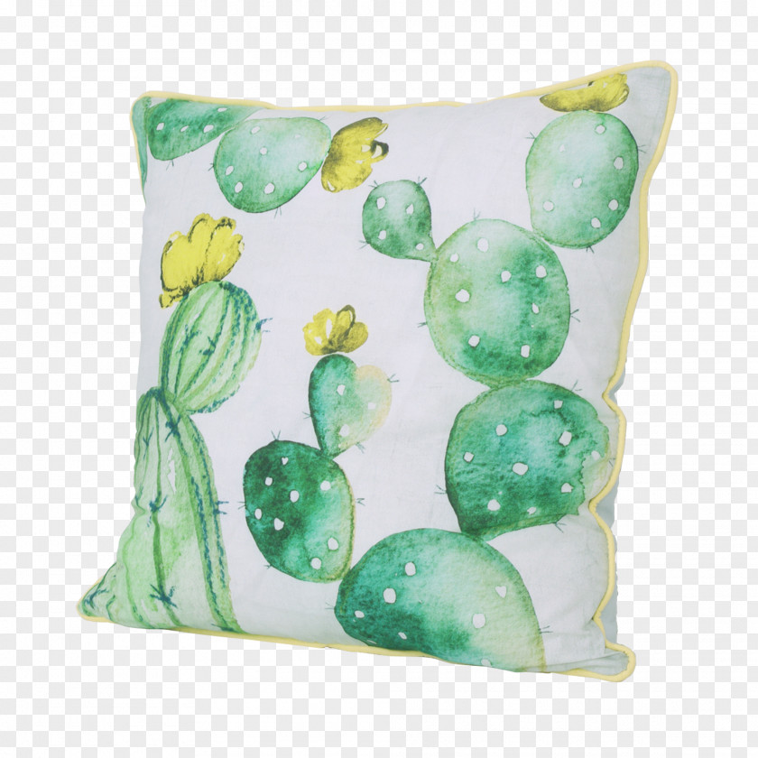 Notebook Throw Pillows Cushion Paperback Cactaceae PNG