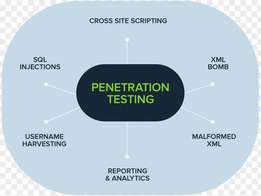Penetration Test SOAtest Security Testing Software Parasoft Nessus PNG