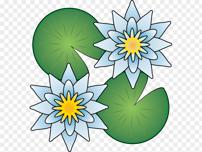 Flower Floral Design Pygmy Water-lily Clip Art PNG