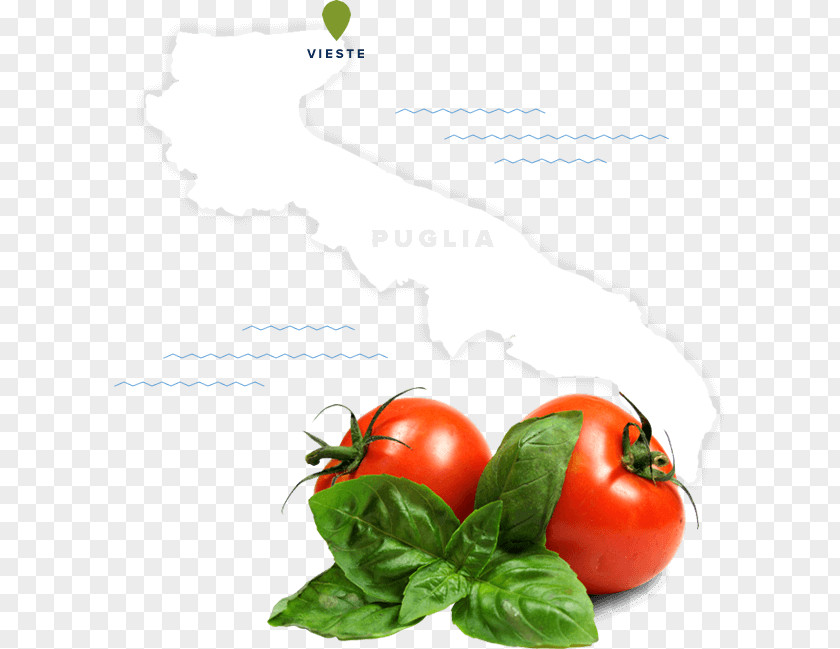 Pizza Cherry Tomato Clip Art PNG