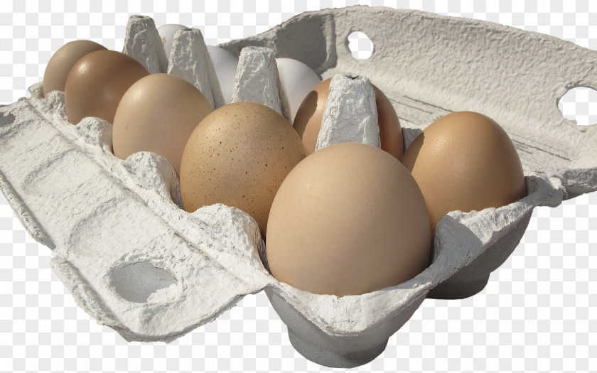 Shrimp Eggs Chicken Fried Egg Carton Hen PNG