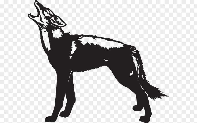 Wolf Illustration Clip Art Fotosearch Stock Photography PNG