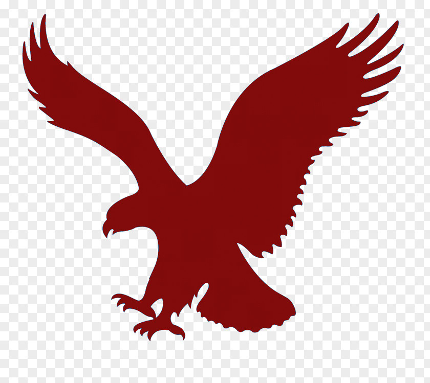 American Eagle Outfitters Clothing Accessories Retail Logo PNG