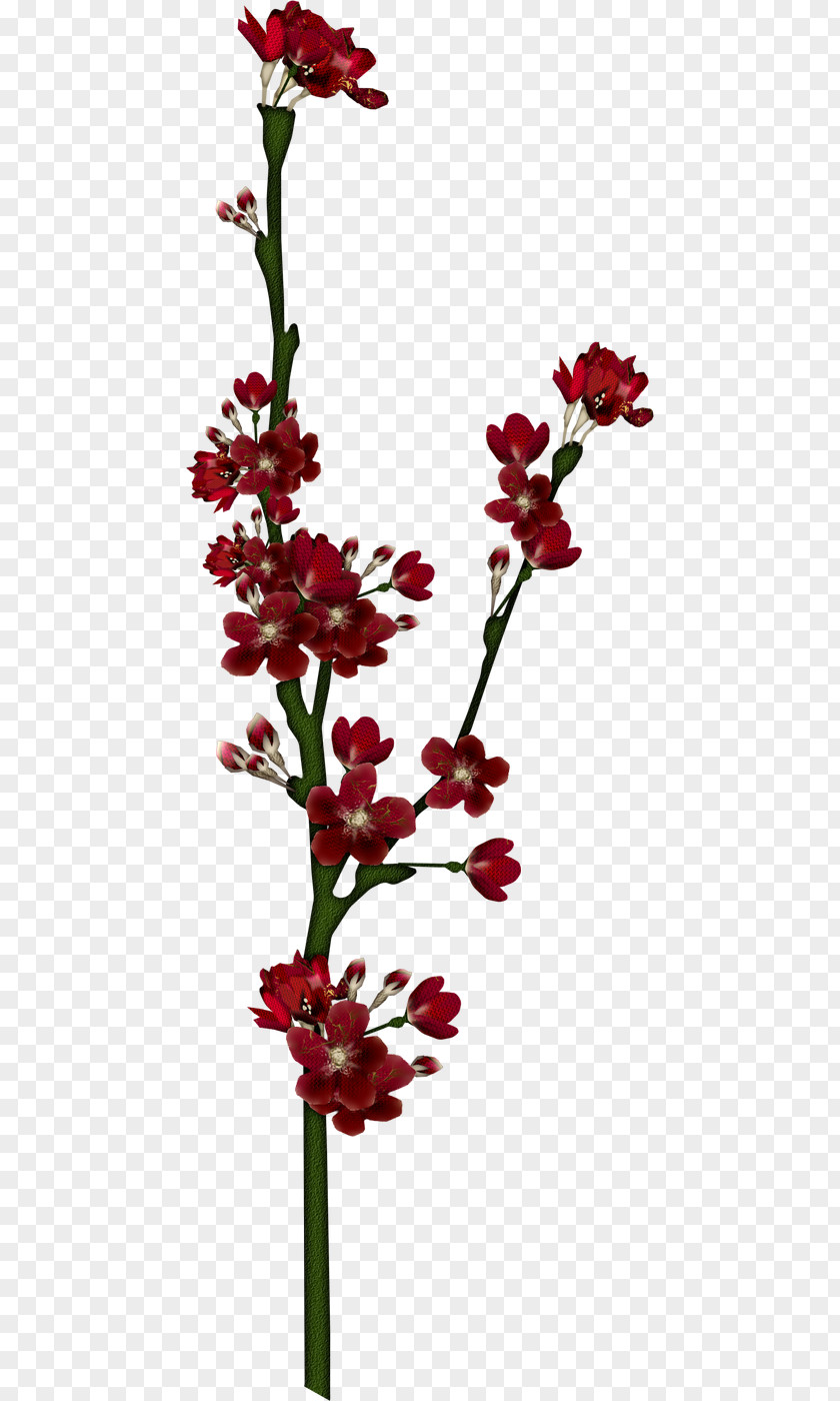 Clarkia Flower Bouquet Floral Design Vase PNG