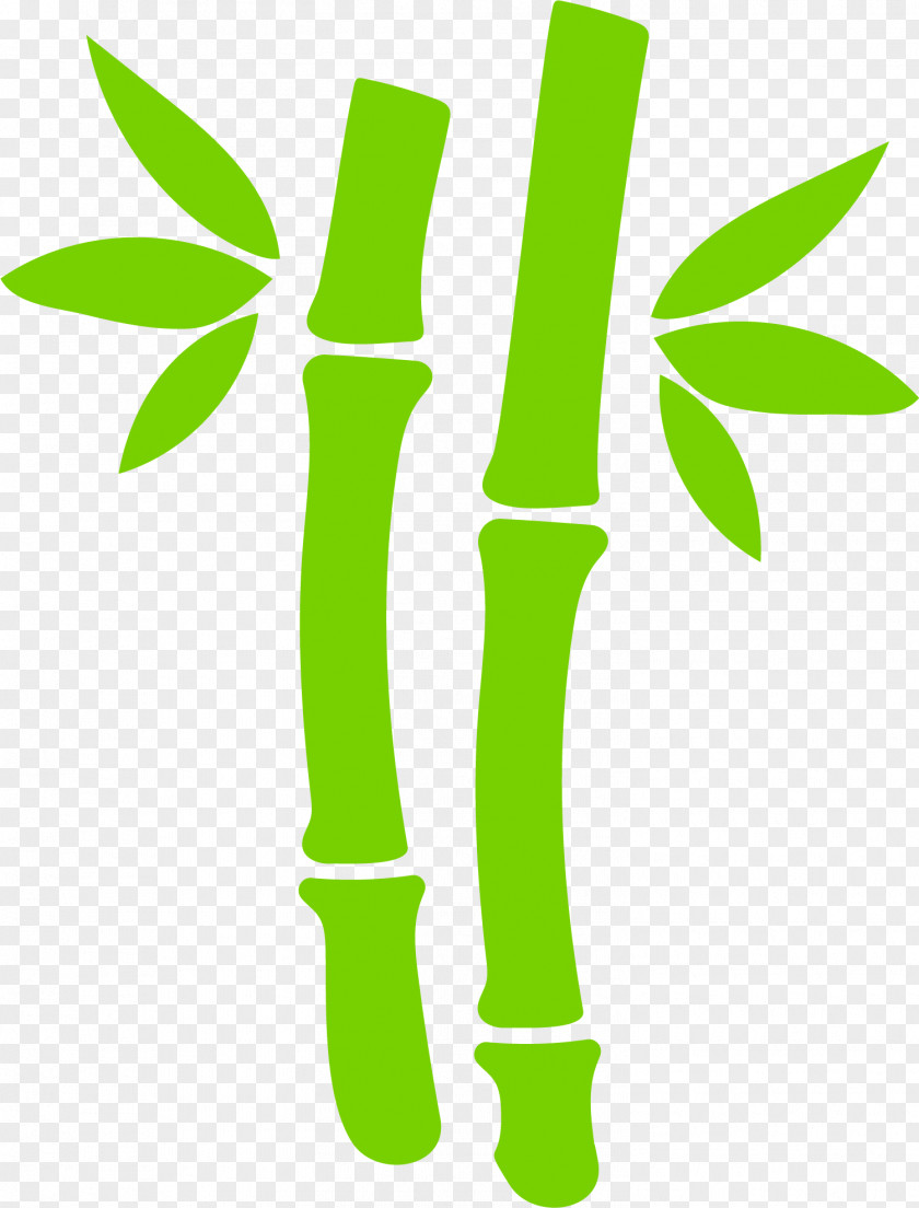 Hand Painted Green Bamboo Leaves Leaf Bamboe Euclidean Vector PNG