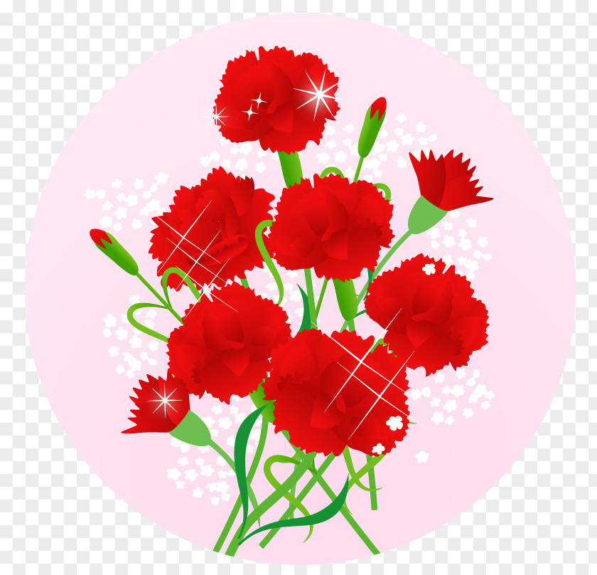 Mother's Day Carnation Cut Flowers 舞妓の茶本舗 PNG
