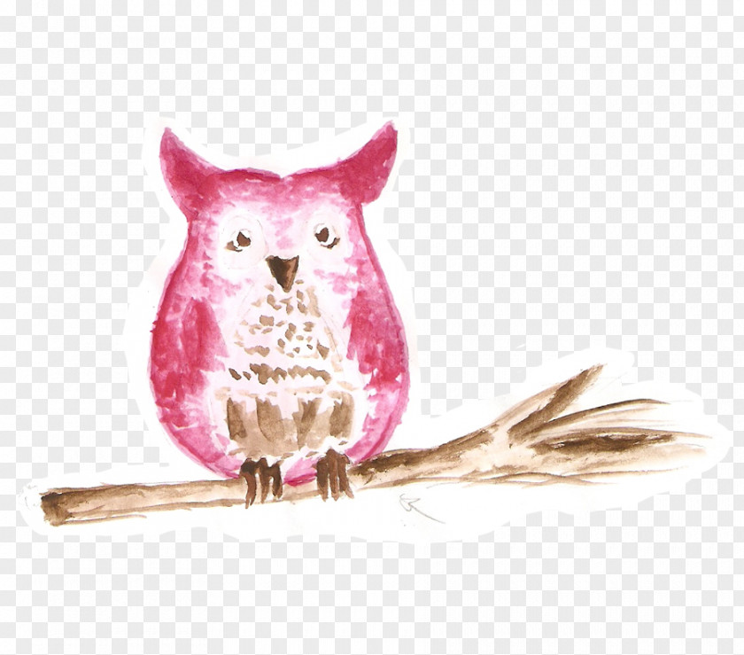Owl Feather Beak Colored Pencil PNG