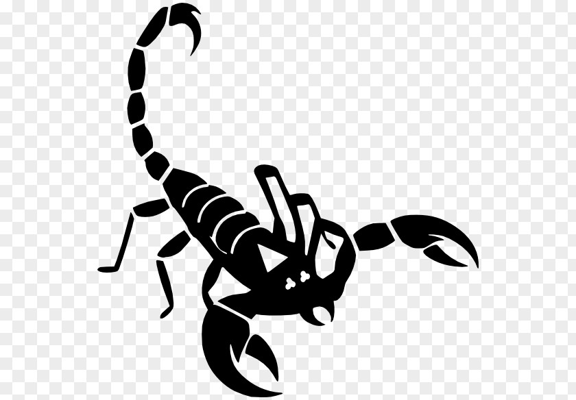 Scorpions Scorpion Clip Art PNG