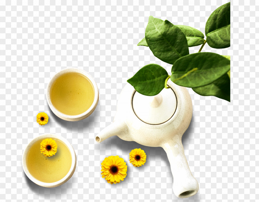 Tea Elements Green Chrysanthemum Teapot Japanese Ceremony PNG