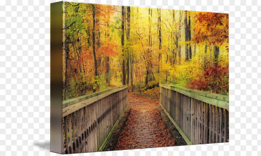 Wooden Bridge Wood Painting Gallery Wrap Nature Canvas PNG