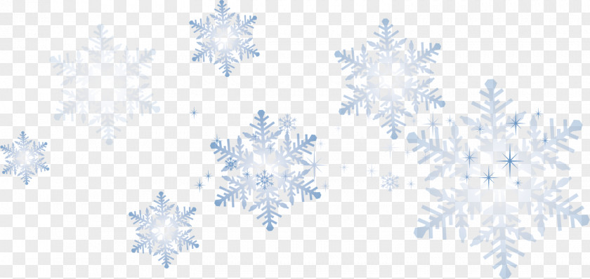 Blue Snowflake Pattern PNG