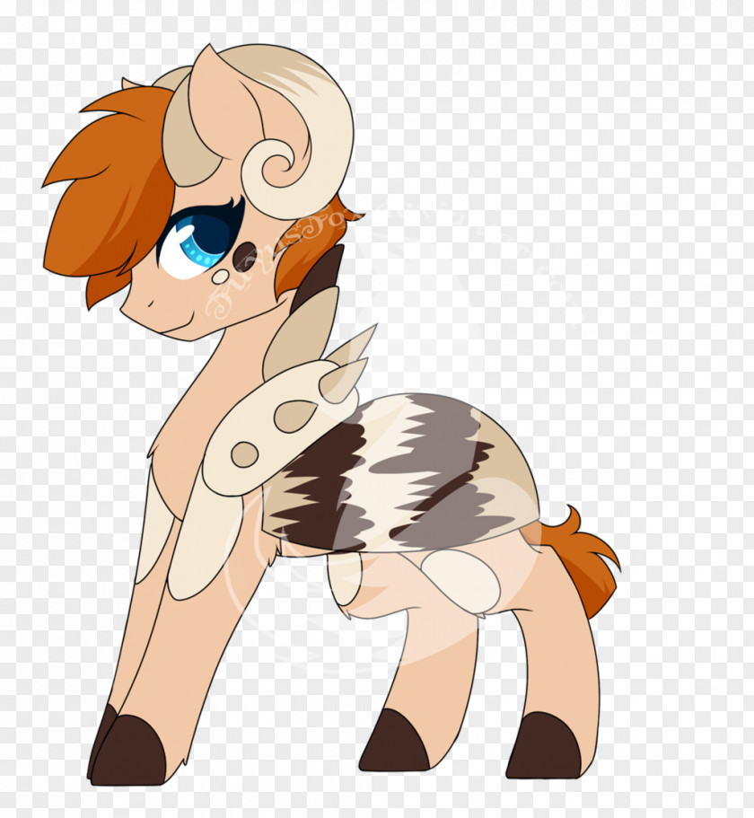 Conch Horse Cat Art Species Mammal PNG