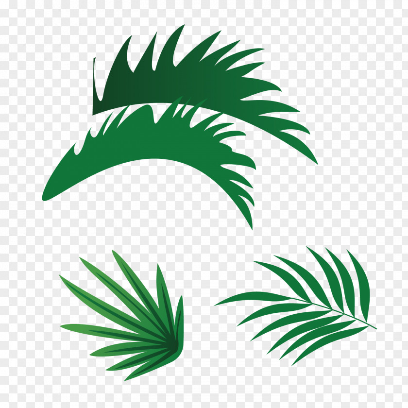 Green Vector Palm Leaves Leaf Paper PNG