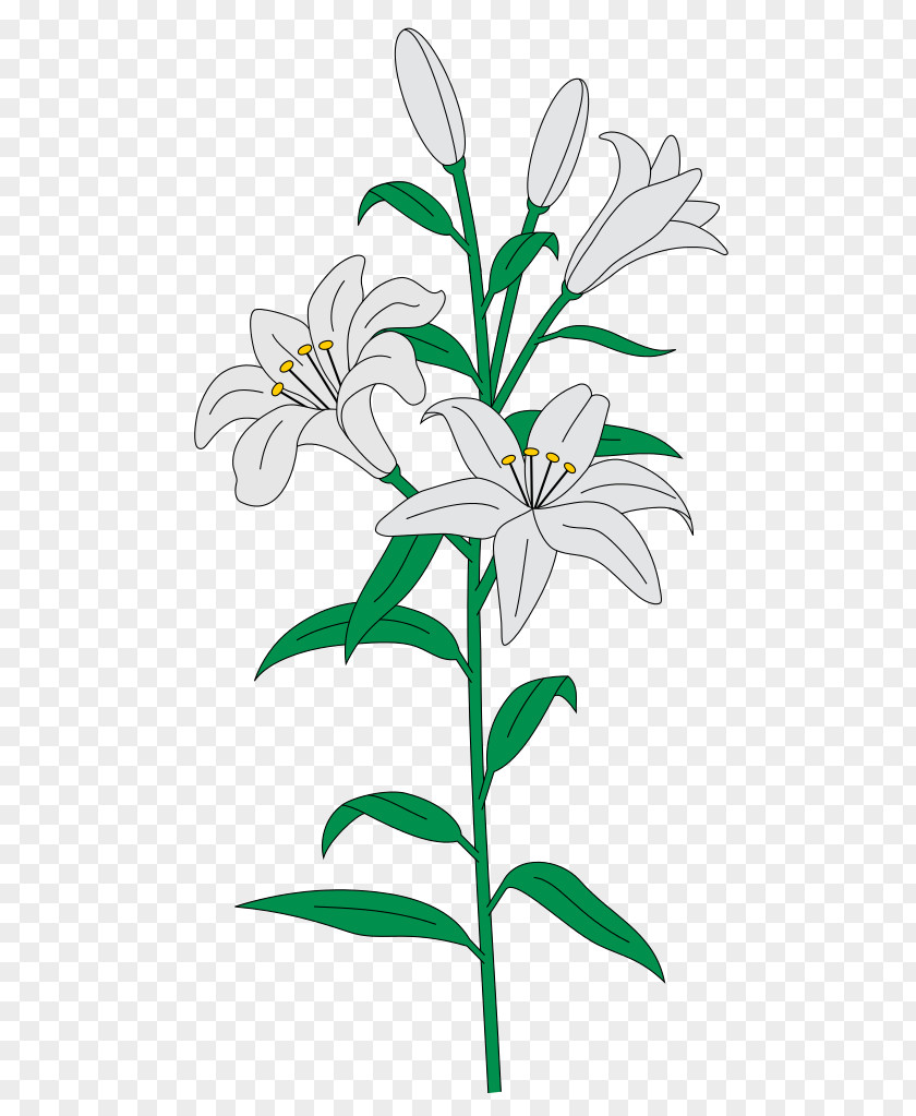Lily Floral Design Cut Flowers Plant Stem Lilium Clip Art PNG