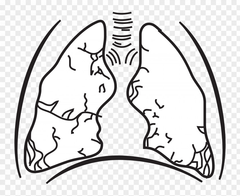 Lungs Great Hungarian Plain Lung Breathing PNG