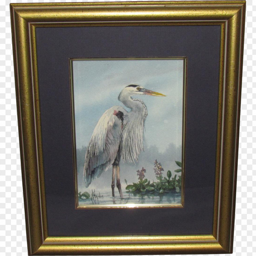 Painting Picture Frames Beak Seabird PNG