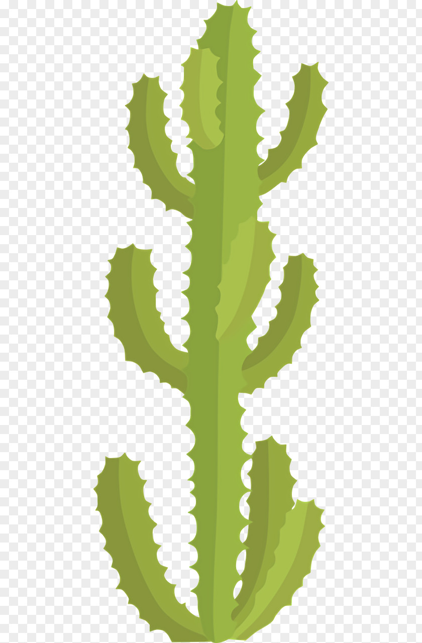 Plant Stem Leaf Flower Citroën Cactus M Font PNG