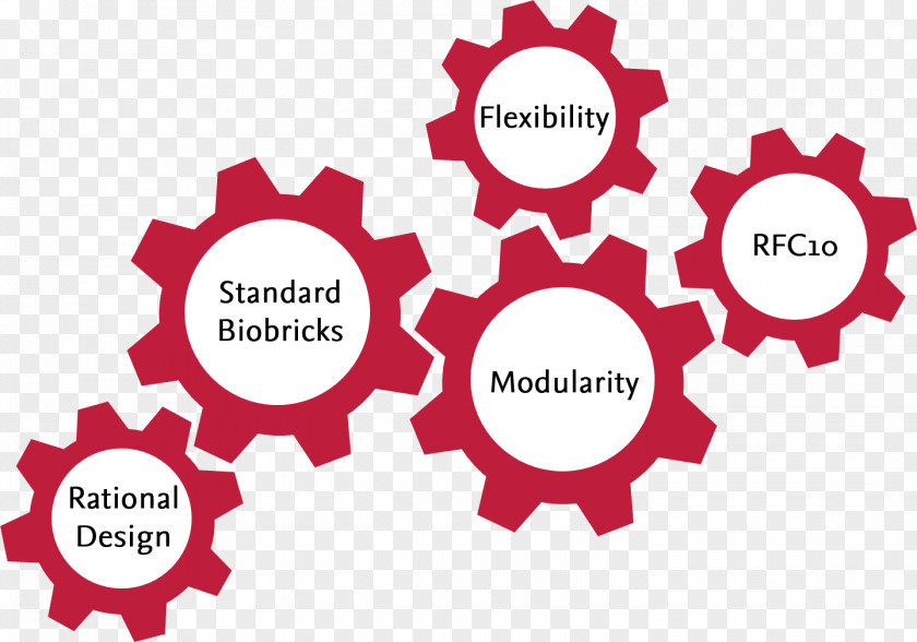 Design Project Engineering Engineer Electrical Chemical PNG