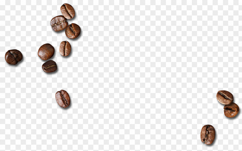 Scattered Coffee Beans Bean PNG